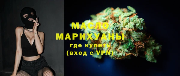 гашик Пересвет