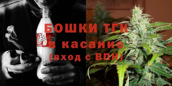 крисы Алексин