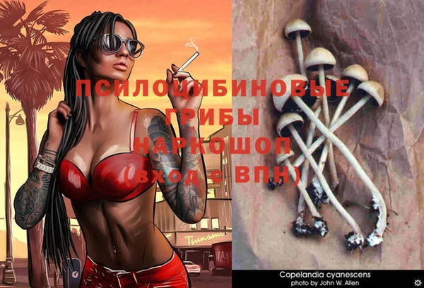соль ск Абинск