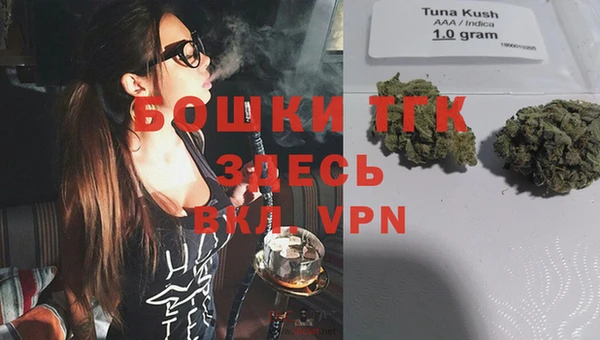 крисы Алексин