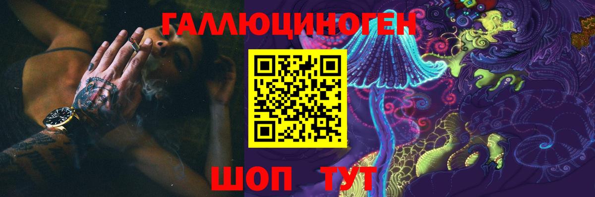 Галлюциногенные грибы Cubensis Зеленогорск